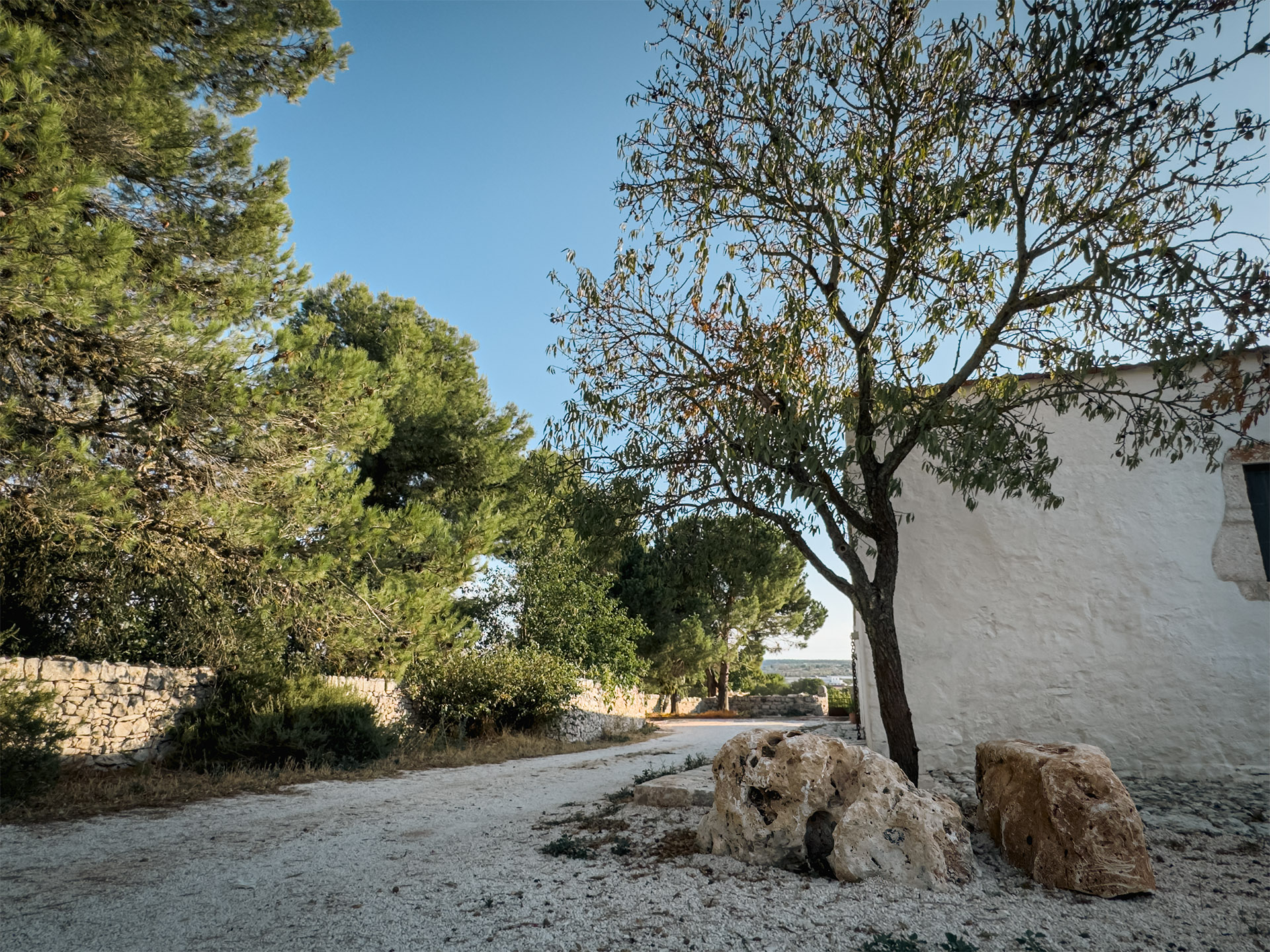MASSERIA SAN NICOLA PUTIGNANO_0002__FOTO MASSERIA 092025-14-TX