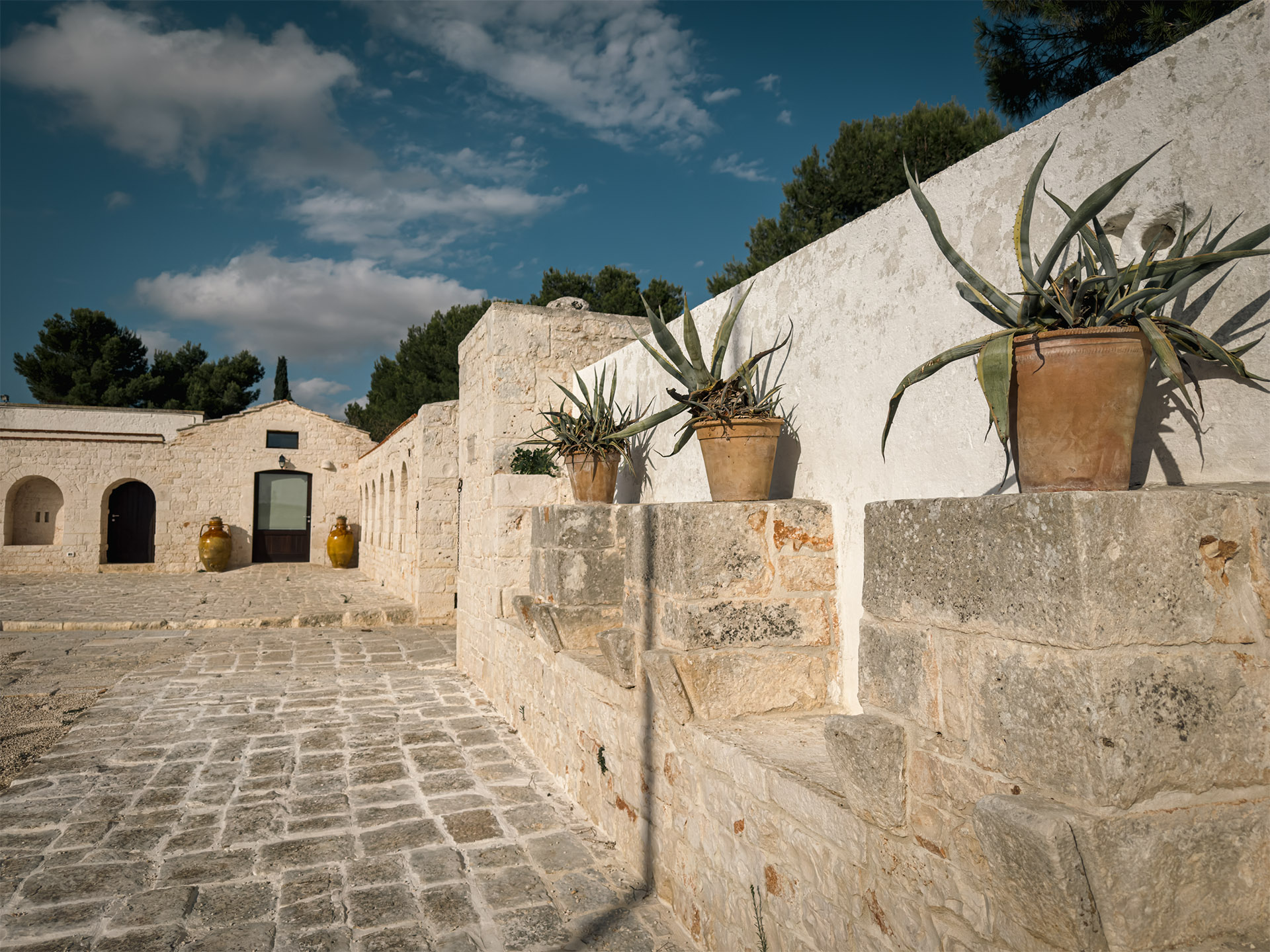 MASSERIA SAN NICOLA PUTIGNANO_0010__FOTO MASSERIA 092025-3-TX