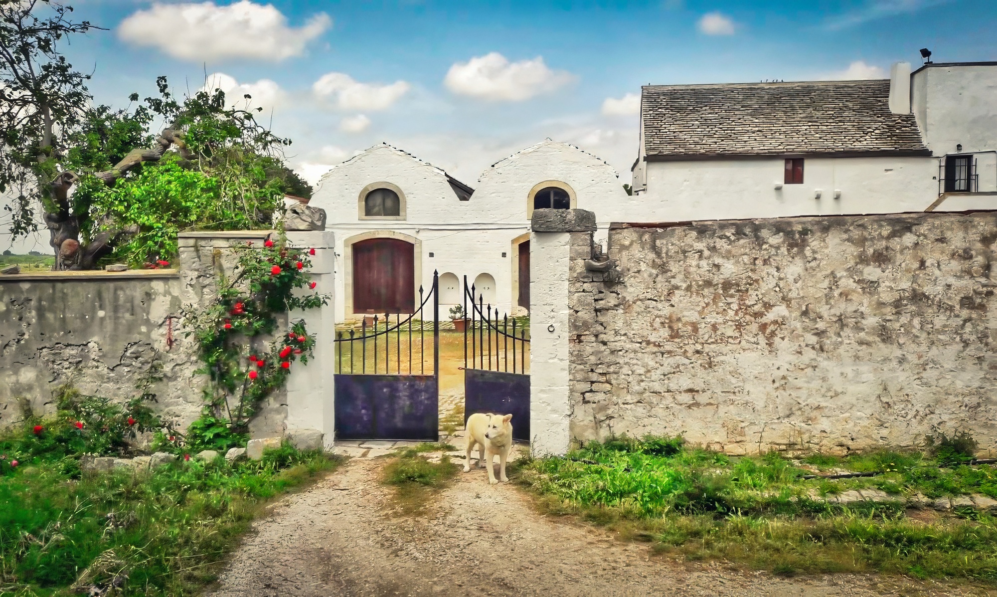 _foto demo masseria san nicola putignano-11-TX