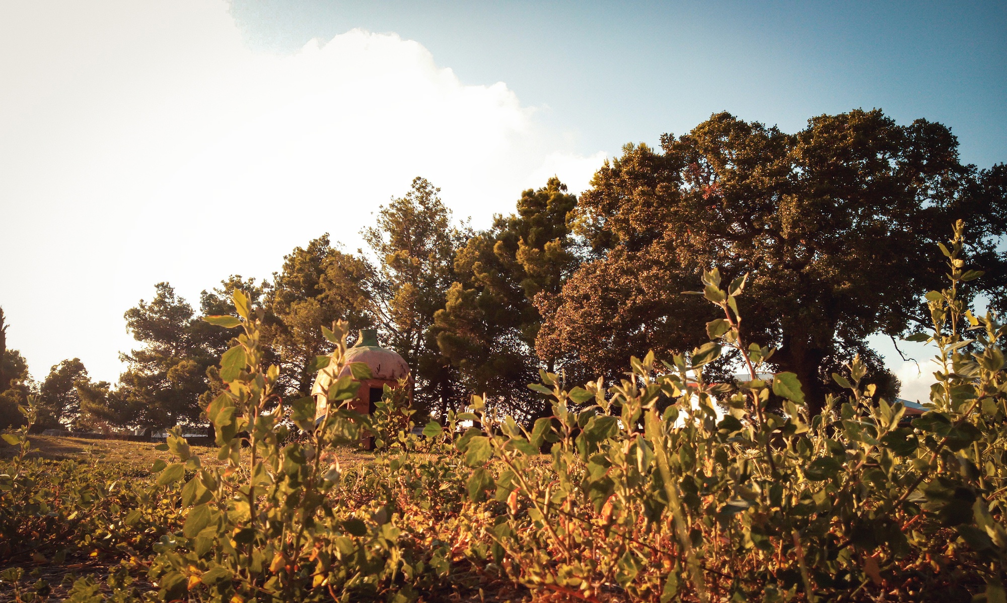_foto demo masseria san nicola putignano-9-TX